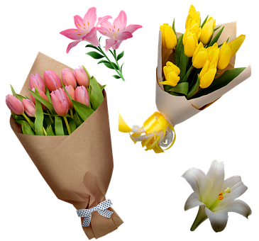 File:Sorting outside 2.png