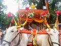 Tukaram Maharaj palkhi palanquin.jpg