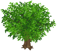 Place value system - tree.png