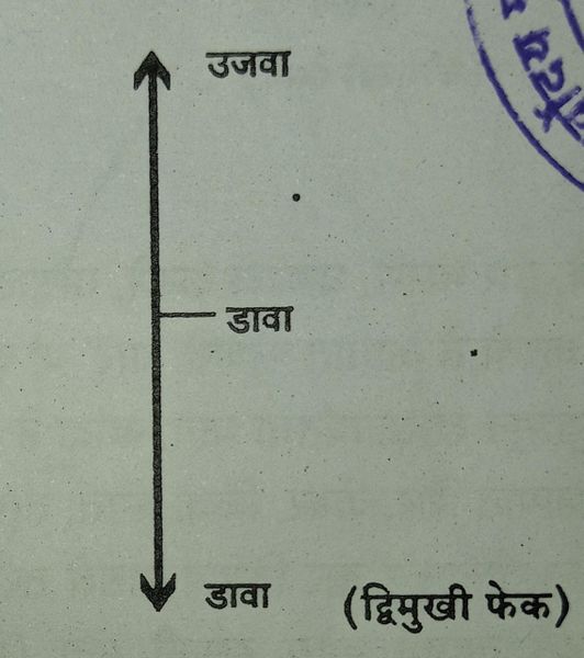 File:द्विमुखी फेक.jpg