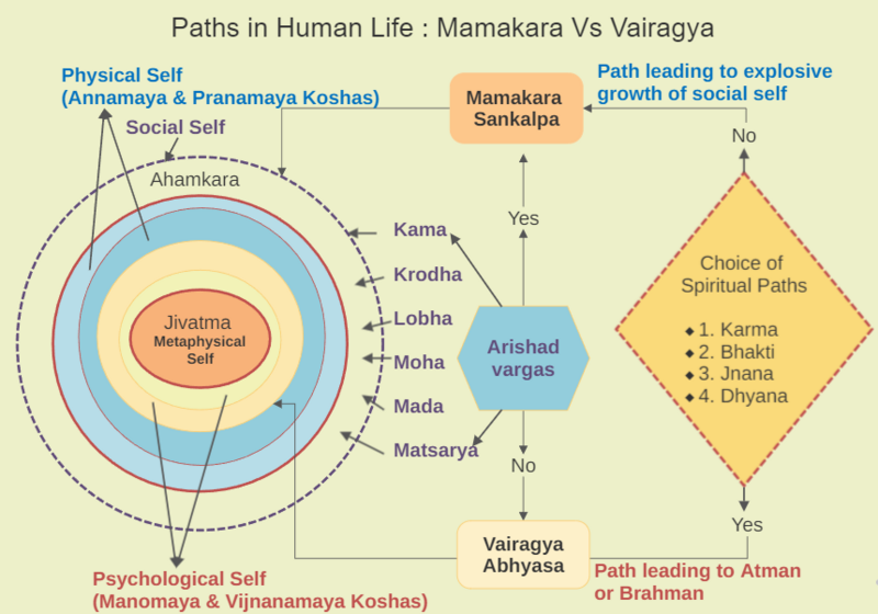 File:Paths in Human Life.png