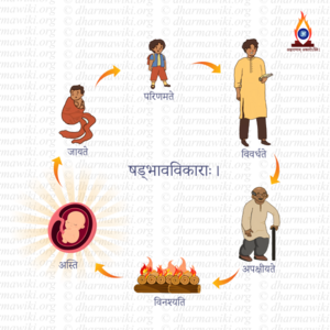 Shadbhava Vikaras