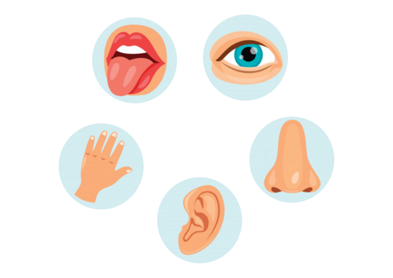 File:Number knowledge - Pancha Indriyas.png