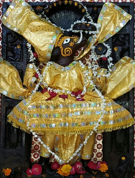 File:जय श्री कृष्णा बृज दर्शन.jpeg