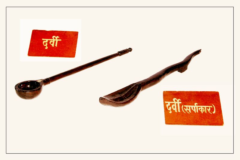 File:DARVI-& DARVI-SARPAKAR.JPG